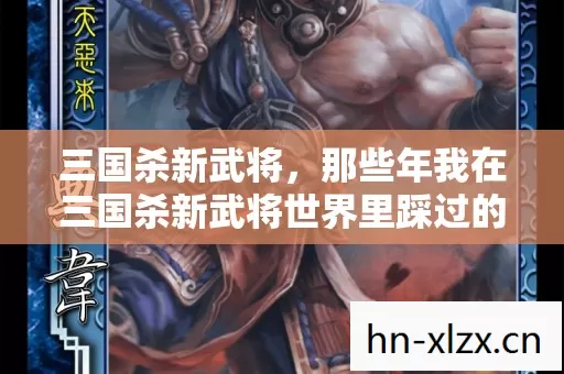 那些年我在三国杀新武将世界里踩过的坑与摸出的野路子图片