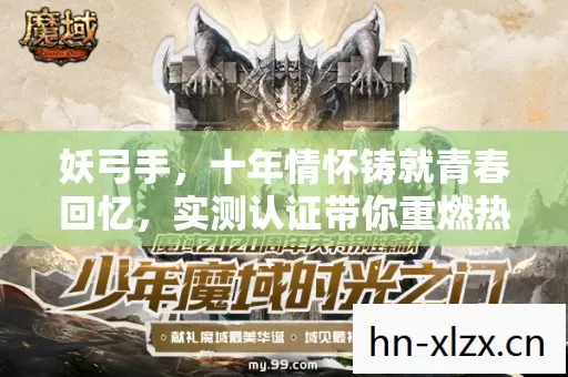 十年情怀铸就青春回忆图片