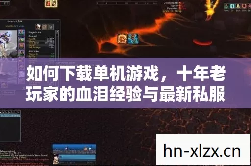 十年老玩家的血泪经验与最新私服圈动态图片