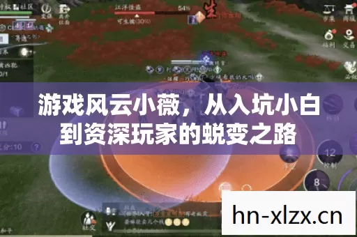 从入坑小白到资深玩家的蜕变之路图片