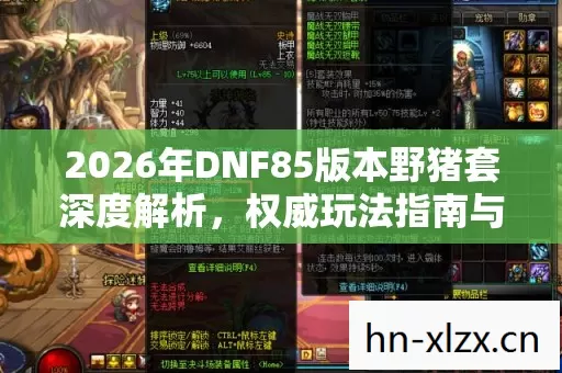 2026年DNF85版本野猪套深度解析图片