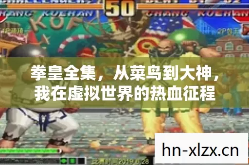 拳皇全集,从菜鸟到大神,我在虚拟世界的热血征程 拳皇全集,从菜鸟到大神,我在虚拟世界的热血征程