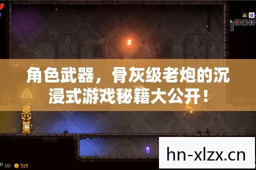 骨灰级老炮的沉浸式游戏秘籍大公开图片