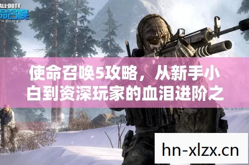 从新手小白到资深玩家的血泪进阶之路图片