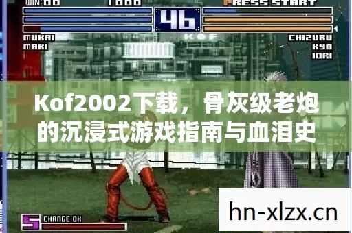 骨灰级老炮的沉浸式游戏指南与血泪史图片