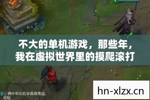 我在虚拟世界里的摸爬滚打图片