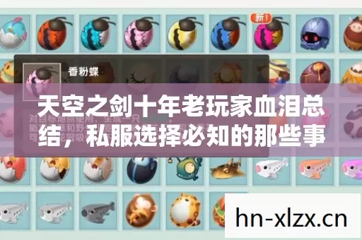 天空之剑十年老玩家血泪总结,私服选择必知的那些事儿 天空之剑十年老玩家血泪总结,私服选择必知的那些事儿