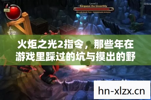火炬之光2指令,那些年在游戏里踩过的坑与摸出的野路子 火炬之光2指令,那些年在游戏里踩过的坑与摸出的野路子