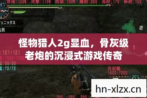 怪物猎人2g显血,骨灰级老炮的沉浸式游戏传奇 怪物猎人2g显血,骨灰级老炮的沉浸式游戏传奇