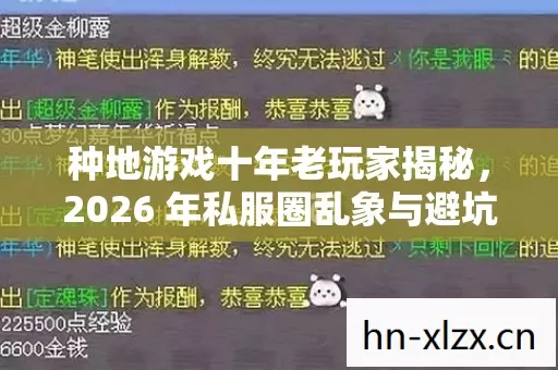 种地游戏十年老玩家揭秘,2026 年私服圈乱象与避坑指南 种地游戏十年老玩家揭秘,2026 年私服圈乱象与避坑指南