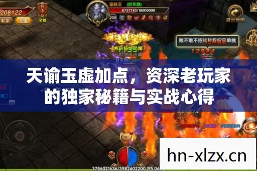 资深老玩家的独家秘籍与实战心得图片
