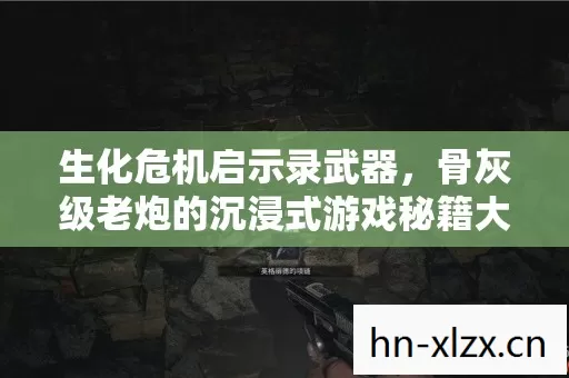 骨灰级老炮的沉浸式游戏秘籍大公开图片