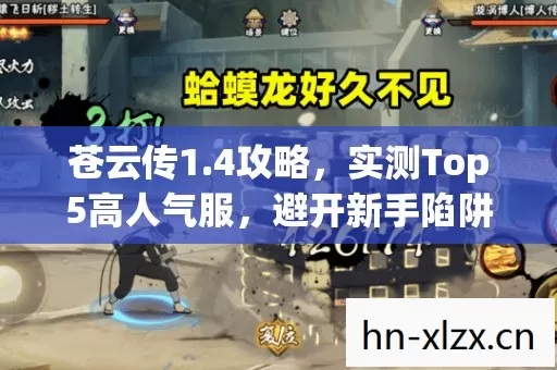 实测Top5高人气服图片