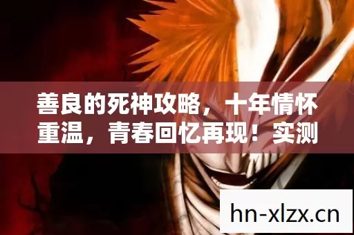 实测认证玩法你知道吗图片
