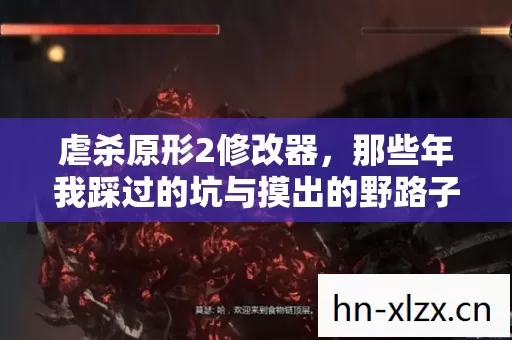 那些年我踩过的坑与摸出的野路子图片