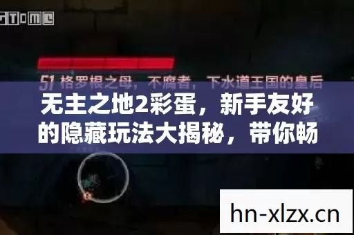 新手友好的隐藏玩法大揭秘图片