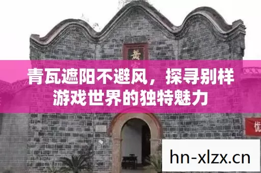 探寻别样游戏世界的独特魅力图片