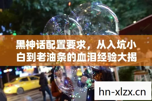 从入坑小白到老油条的血泪经验大揭秘图片