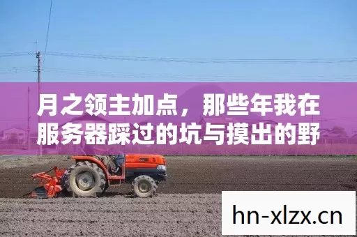 月之领主加点,那些年我在服务器踩过的坑与摸出的野路子 月之领主加点,那些年我在服务器踩过的坑与摸出的野路子