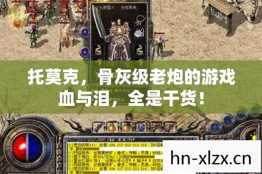 托莫克,骨灰级老炮的游戏血与泪,全是干货! 托莫克,骨灰级老炮的游戏血与泪,全是干货!