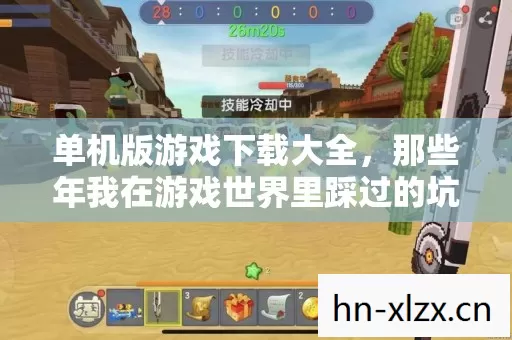 单机版游戏下载大全,那些年我在游戏世界里踩过的坑与摸出的野路子 单机版游戏下载大全,那些年我在游戏世界里踩过的坑与摸出的野路子