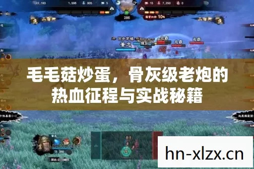 毛毛菇炒蛋,骨灰级老炮的热血征程与实战秘籍 毛毛菇炒蛋,骨灰级老炮的热血征程与实战秘籍