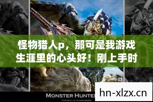 怪物猎人p,那可是我游戏生涯里的心头好!刚上手时,啥都不懂,被虐得死去活来 怪物猎人p,那可是我游戏生涯里的心头好!刚上手时,啥都不懂,被虐得死去活来