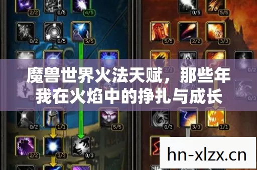 那些年我在火焰中的挣扎与成长图片