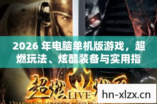 2026 年电脑单机版游戏图片