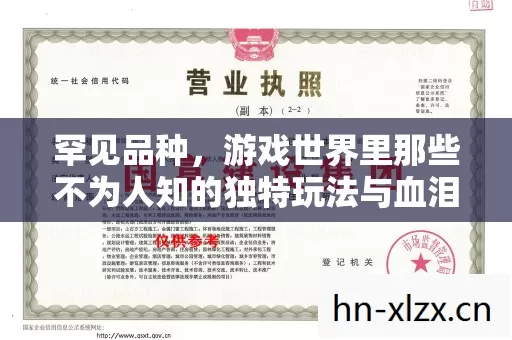 游戏世界里那些不为人知的独特玩法与血泪历程图片