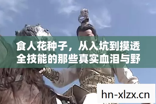 从入坑到摸透全技能的那些真实血泪与野路子图片
