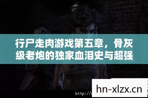 骨灰级老炮的独家血泪史与超强攻略图片