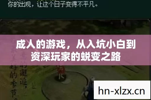 从入坑小白到资深玩家的蜕变之路图片