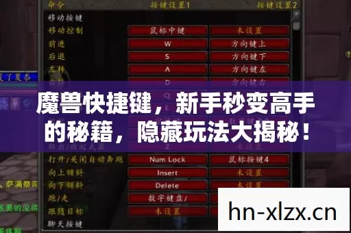 新手秒变高手的秘籍图片
