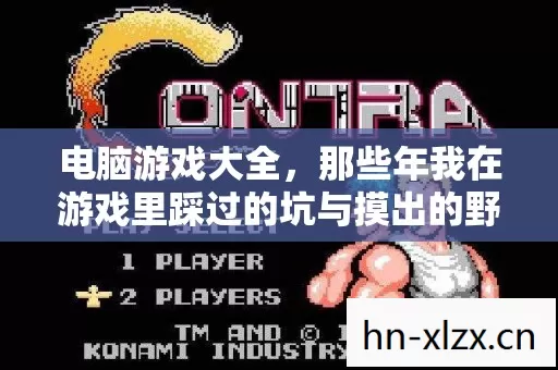 那些年我在游戏里踩过的坑与摸出的野路子图片