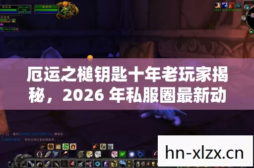 2026 年私服圈最新动态与通关秘籍图片