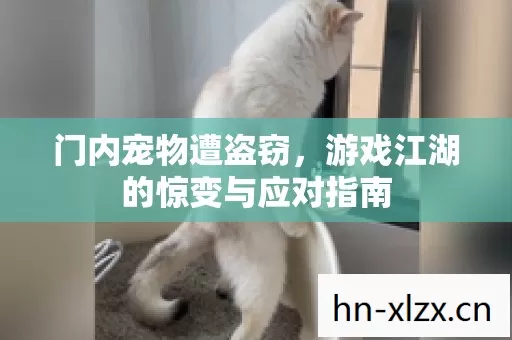 门内宠物遭盗窃,游戏江湖的惊变与应对指南 门内宠物遭盗窃,游戏江湖的惊变与应对指南