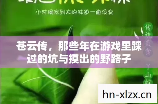 那些年在游戏里踩过的坑与摸出的野路子图片
