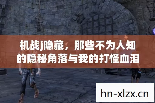 那些不为人知的隐秘角落与我的打怪血泪史图片