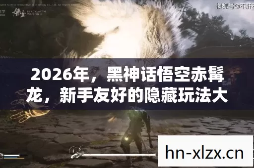 新手友好的隐藏玩法大揭秘图片