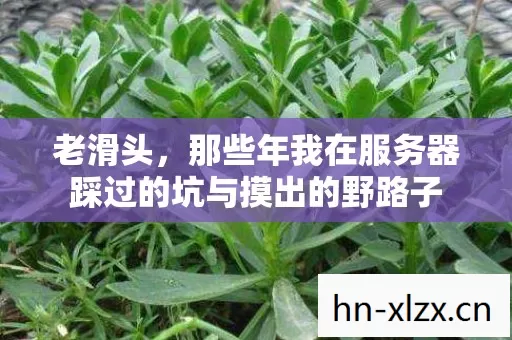 那些年我在服务器踩过的坑与摸出的野路子图片