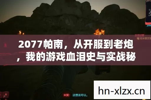 我的游戏血泪史与实战秘籍大公开图片