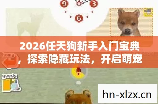 2026任天狗新手入门宝典图片
