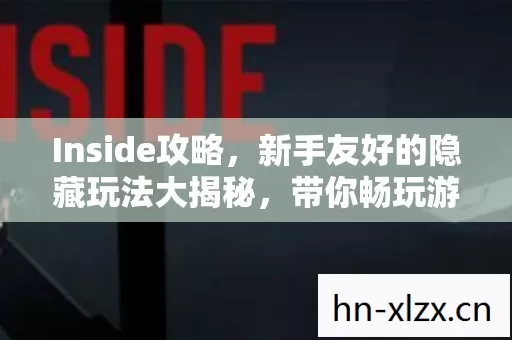 新手友好的隐藏玩法大揭秘图片