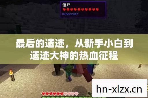 从新手小白到遗迹大神的热血征程图片