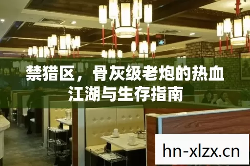 骨灰级老炮的热血江湖与生存指南图片