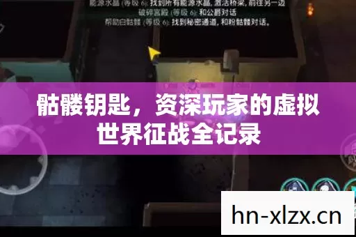 资深玩家的虚拟世界征战全记录图片