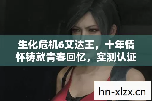 十年情怀铸就青春回忆图片