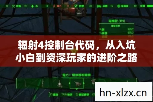从入坑小白到资深玩家的进阶之路图片