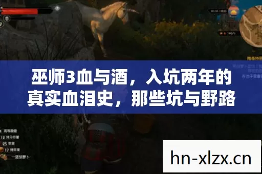 入坑两年的真实血泪史图片